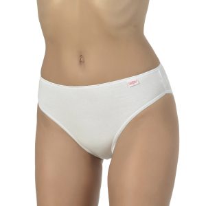 ART. 12108 Elasticized Panty