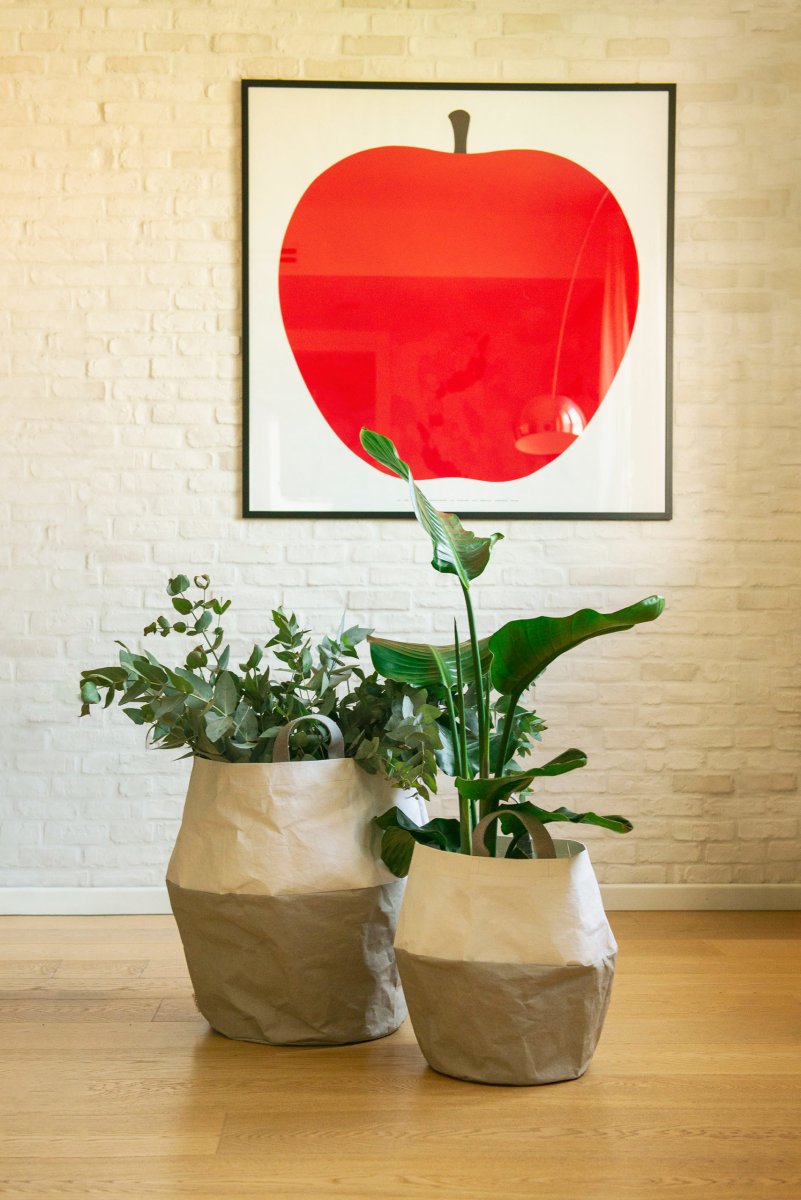 Basket S - immagine 5